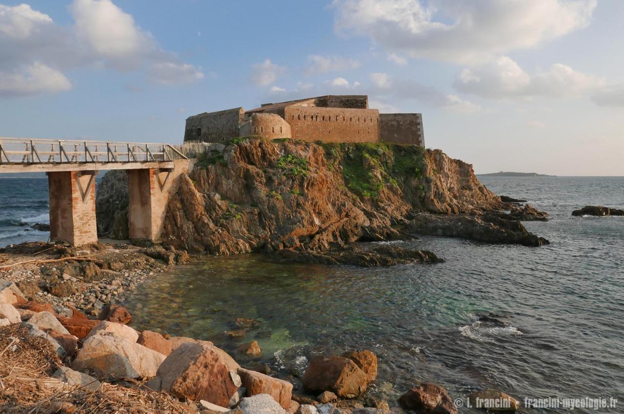 Bel Appart Renove - La Boheme Hyères Exterior foto